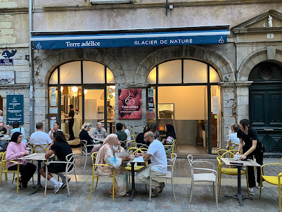 Glacier Terre adélice LYON