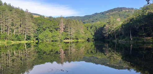 Lac de Thurins, Lyon