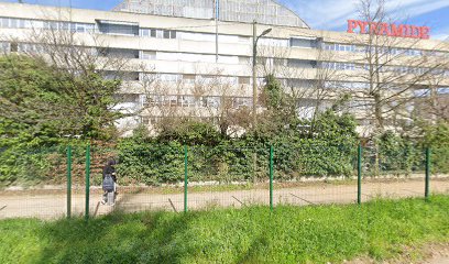 Bajard Aline, Lyon