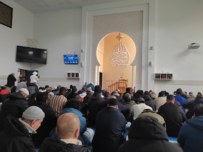 Grande mosquée de Bron, Lyon
