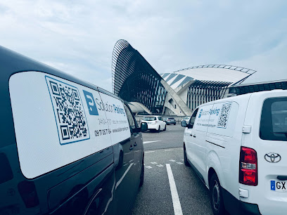 Solution Parking Lyon-Saint-Exupéry