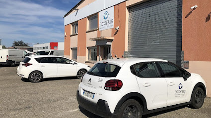 Acorus Lyon