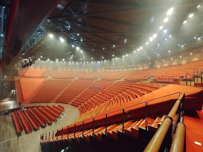 L'Amphithéâtre 3000, Lyon