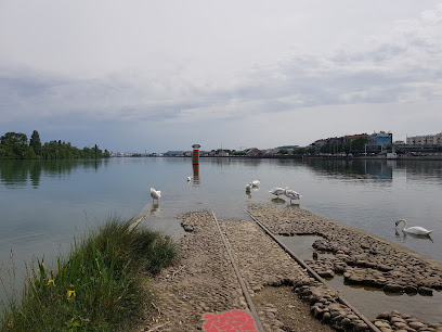 Confluent du Rhône et de la Saône, Lyon