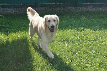 Une Vie de Chien:Pensions Chiens et Chats, Lyon