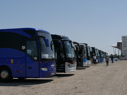 Saybus, Lyon