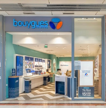 BOUYGUES TELECOM CC ECULLY GRD OUEST, Lyon