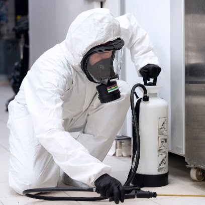 Erapure : Expert anti-Nuisibles à Lyon