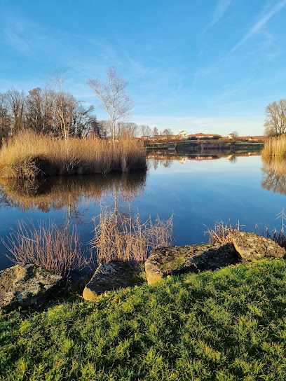 Lac de Fréminville, Lyon