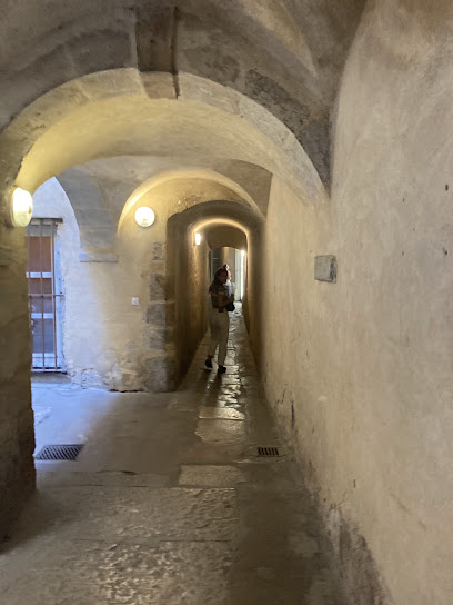 La Longue Traboule, Lyon