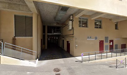 Docteur Agnès Toutain-Rigolet, Lyon