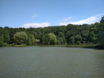 Lac Neyton, Lyon