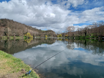 Etang de la Bricotte, Lyon