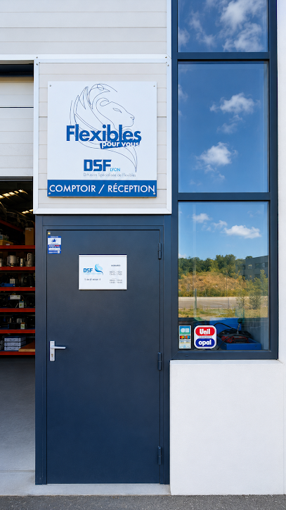 DSF Lyon